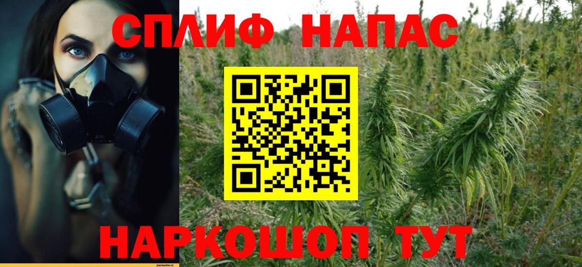 Шишки марихуана Amnesia Альметьевск
